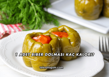 1 Adet Biber Dolması Kaç Kalori?