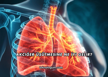 Akciğer Üşütmesine Ne İyi Gelir?