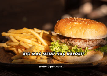 Big Mac Menü Kaç Kalori?