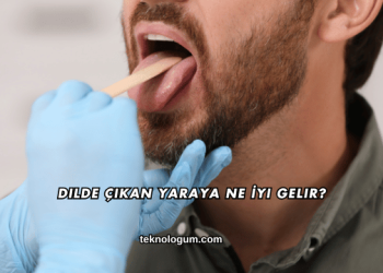 Dilde Çıkan Yaraya Ne İyi Gelir?