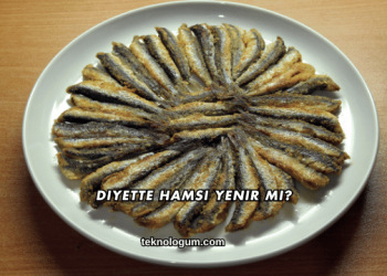 Diyette Hamsi Yenir mi?
