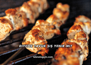 Diyette Tavuk Şiş Yenir mi?