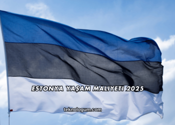 Estonya Yaşam Maliyeti 2025