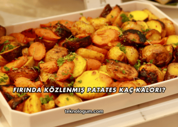 Fırında Közlenmiş Patates Kaç Kalori?