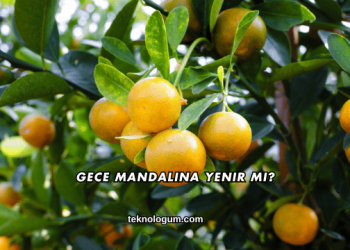 Gece Mandalina Yenir mi?