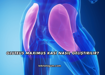 Gluteus Maximus Kası Nasıl Geliştirilir?