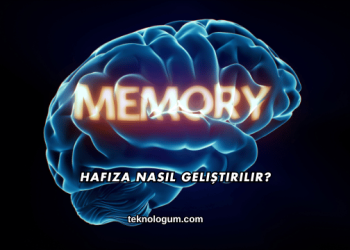 Hafıza Nasıl Geliştirilir?