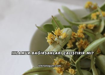 Ihlamur Bağırsakları Çalıştırır mı?