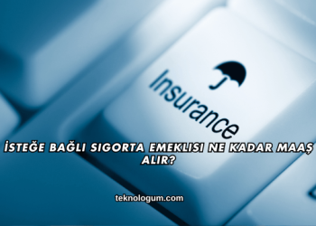 İsteğe Bağlı Sigorta Emeklisi Ne Kadar Maaş Alır?