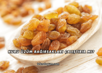 Kuru Üzüm Bağırsakları Çalıştırır mı?