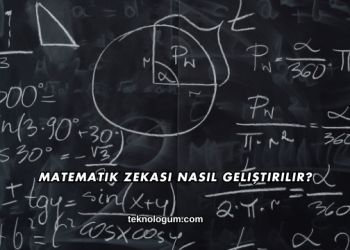 Matematik Zekası Nasıl Geliştirilir?