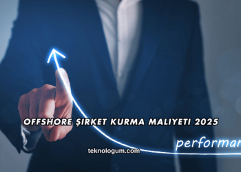 Offshore Şirket Kurma Maliyeti 2025