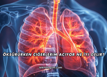 Öksürürken Ciğerlerim Acıyor Ne İyi Gelir?