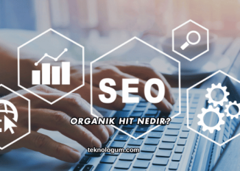 Organik Hit Nedir?
