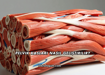 Pelvik Kasları Nasıl Geliştirilir?