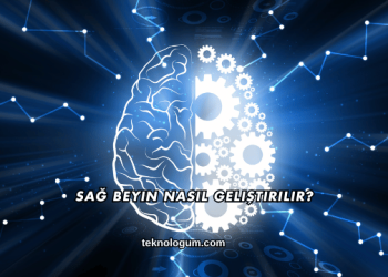 Sağ Beyin Nasıl Geliştirilir?