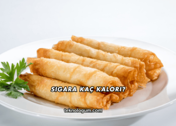 Sigara Kaç Kalori?
