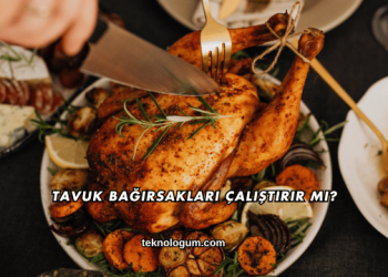 Tavuk Bağırsakları Çalıştırır mı?