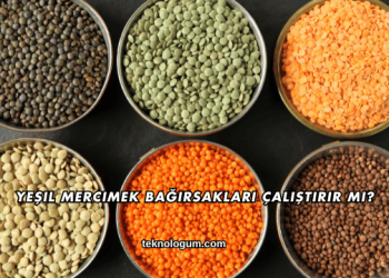 Yeşil Mercimek Bağırsakları Çalıştırır mı?