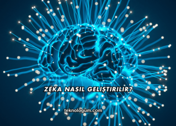 Zeka Nasıl Geliştirilir?